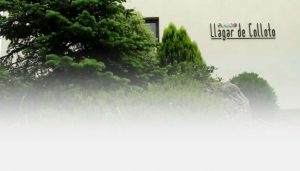 blog-bodas